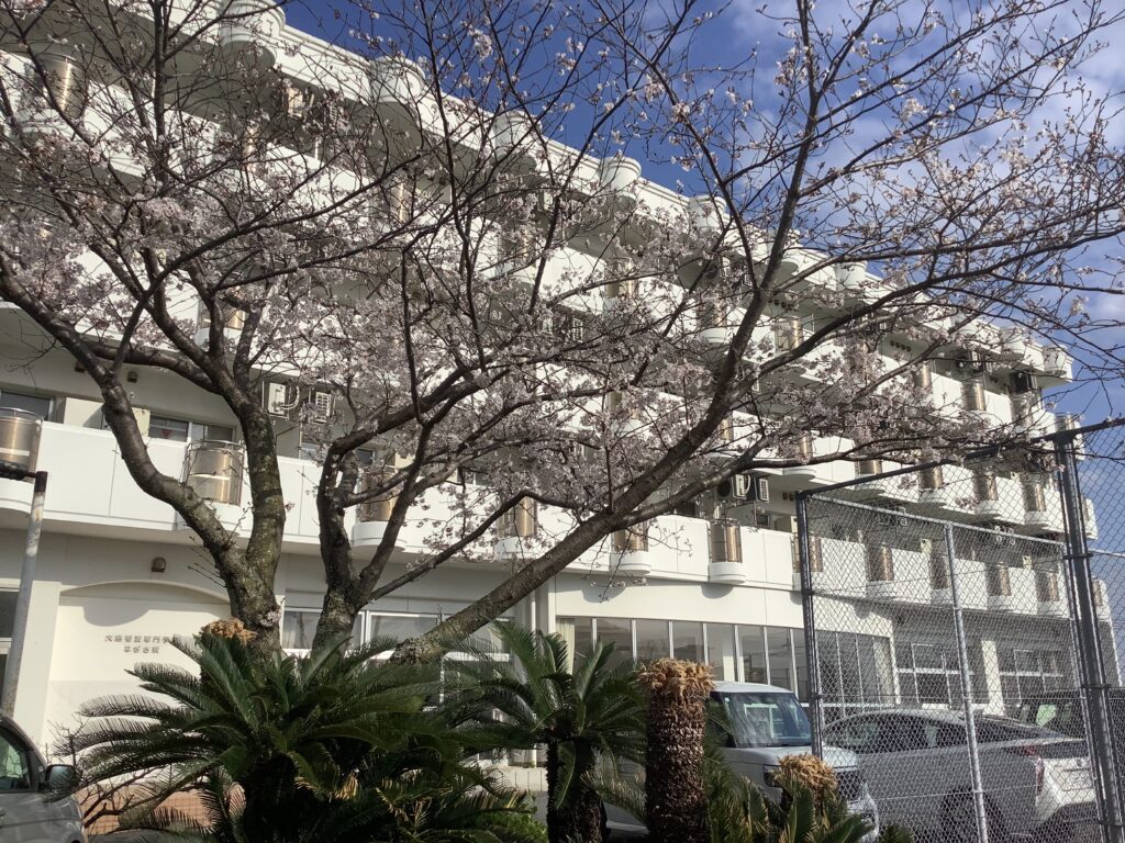 第1なぎさ寮
