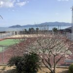 教室から見える風景
